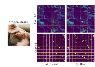Understanding How Image Quality Affects Deep Neural Networks